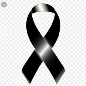 Meet your Posher, Daisy